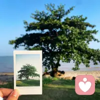 难过时沉淀，迷茫时行动，焦虑时读书，稳住节奏，就没跨不过的坎。