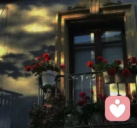 人们嘴上想要自由，身体却更渴望被安排。因为自由意味着：责任、后果、以及无法再怪任何人。