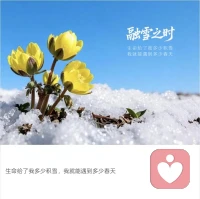 真正的成长，或许不是每次都赢，而是学会如何面对“没有赢”。配图