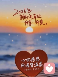 但入新年，愿百事、皆如意。