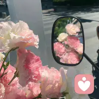 打开生活的天窗，阳光自会照进来。生日快乐！