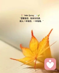 我们能掌控的，永远只有自己的选择与行动；放下对他人和环境的控制欲，才能获得真正的内心自由。配图