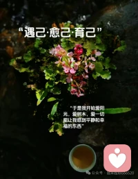 走了很久才明白，向外寻找的是风景，向内抵达的才是灵魂。遇己、愈己、育己，是给生命最好的礼物。配图