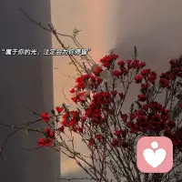 不必追赶所有人，和自己同频，就是最好的生活节奏。