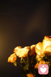 人们总是在接近幸福时倍感幸福，却在经历幸福时，总会患得患失。