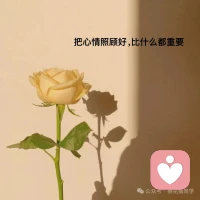 最高级的养生，是不预支明天的烦恼。配图