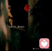 能够生存下来的物种，并不是最强壮的，也不是最聪明的，而是对变化做出快速反应的。配图