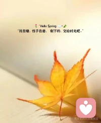 我们无法掌控别人怎么做，但我们能掌控自己怎么想。配图