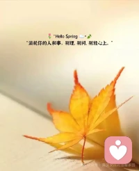 语言本身没有力量，除非你感受这句话。你的内在信念全是你的自我对话，所有遇到的人都是你自己。配图
