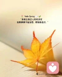 生活会让一个人遍体鳞伤，但是，那些受伤的地方会变成最强壮的地方。
