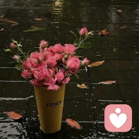 决定我们自身的不是过去的经历，而是我们自己赋予经历的意义。配图