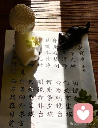 每个人都在用自己多年建构的认知框架选择信息，加工信息，与世界互动，进而构建自己眼中的心理世界。配图