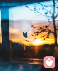 情緒自由是成年人的浪漫
晴天也好 雨天也罷
所以
我們要學(xué)會和每一種心情溫柔共處配圖