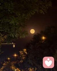 要記得在庸常的物質(zhì)生活之上，還有更為迷人的精神世界，這個(gè)世界就像頭頂上夜空中的月亮，它不耀眼，卻散發(fā)著寧?kù)o而又平和的光芒。配圖