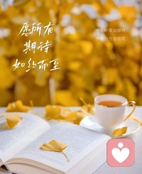 生活沒有說明書，我們要用自己的方式去解讀、去體驗、去感悟。就像銀杏葉各有各的紋路，今日的風正適合用自己的方式，去解讀生活的溫柔篇章。配圖