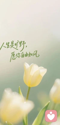 人生是曠野，
沒有所謂的標準，
愿你自由如風。
同風行，與自然交織
與心靈感應，
做自己就是做好的標準。配圖