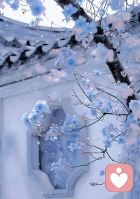 走得累了就停下來，看看路邊的花。它們不慌不忙地開，不問花期長短，只認真舒展每一片瓣。希望你也一樣，不必追趕，按自己的節奏，自有芬芳。配圖