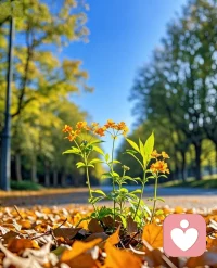 我们每个人的情绪痛苦往往源于我们对事情的解读，而非事情本身。