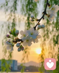 每个人每天都会有很多的情绪，我们允许自己有任何的情绪，允许一切发生。
你要成为那个给自己雪中送炭的人
允许自己偶尔的失控、崩溃、脆弱
放过自己
允许给自己一些时间调整、放空、松弛