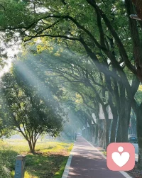 真正的强大，不是忘记，而是接纳。接纳自己的不完美，接纳偶尔的脆弱，然后带着裂痕，继续向阳生长。配图