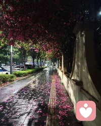 情绪就像天气，有晴天就会有雨天。别因为一场雨，就否定了整个春天。配图