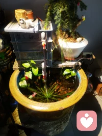 很多人白天假装坚强，夜里却偷偷崩溃。
你不是矫情，不是想太多，是太久没被好好安慰。
情绪不是负担，是你内心在求救。
允许自己脆弱，允许自己停下来，允许有人陪你走一段。
我在这里，安静倾听，温柔陪伴，帮你把乱掉的心慢慢理顺。配图