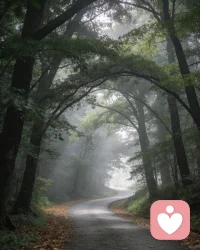 很多痛苦，不是因为事情本身，
而是因为没人理解、没人接住你的情绪。
一个安全的树洞，一段被认真对待的倾诉，
就能让你重新喘口气。配图