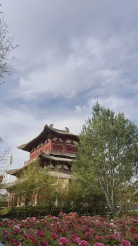 睡前分享配图