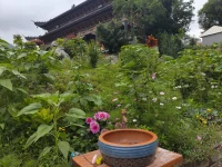 我想所謂孤獨(dú)，就是你面對(duì)的那個(gè)人，他的情緒和你自己的情緒，不在同一個(gè)頻率。
——理查德·耶茨《十一種孤獨(dú)》配圖