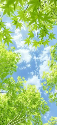 等風(fēng)來(lái)。不如自己種花配圖