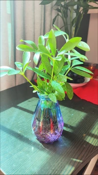 好的婚姻，應(yīng)該是兩個(gè)人一致對(duì)外，一起去搞定這個(gè)稀爛的世界，而不是在稀爛的世界里，互相搞亂對(duì)方的心態(tài)。 ???配圖