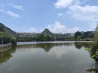 引用一句话”你怎么知道他不喜欢你呢……态度就是答案，没人会从早忙到晚……具体什么意思？……不用问这么清楚……为什么呢？……大家都喜欢和联糸的人联系的。你来……我刚好在。