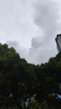 過(guò)去心不可得，現(xiàn)在心不可得。未來(lái)心不可得。一切如夢(mèng)，如泡，如影。配圖