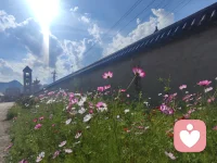早上好配圖