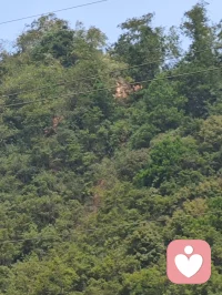 心情不好時，要經常問自己，你有什么想不通？有什么看不慣？如果你覺得不愉快了，就看看窗外，有無限的風光，看看廣闊無垠的天空，也學青天不關門。人生沒有絕望，只有想不通，人生沒有盡頭，只有看不透。新念何必理舊夢，一朝一夕皆來生。轉個念就是希望，回個頭就是來生。配圖