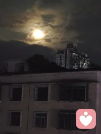 人最傻的行為就是急著要結果，得不到便又急又鬧。殊不知老天安排的，比你自己選的更好、更周到。冥冥之中自有天意，一切都是最好的安排。配圖