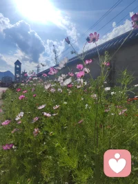 《繁花》里有句話：
不要對(duì)身邊的任何一個(gè)人下定義，
因?yàn)槔婧腿诵氖亲兓療o(wú)常的。???配圖