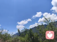 又是新的一天誒配圖