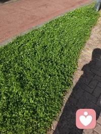 人生似旅途，一边再见，一边遇见，好多人代替了好多人，好多人也忘记了好多人，渐行渐远皆为过客，日渐浓烈方是良人。