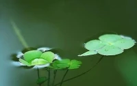 不尊重你的人，都是瞧不起你的人。
并不是他是個直性子，而是從心底深處不在乎你。
當一個人不尊重你的時候，就要收起你的大方，不用去溝通，不要去交流，也不要去憤怒和難過，你只需無視，遠離即可。配圖