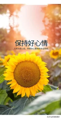 快樂其實很簡單，換個角度看問題，生活處處充滿驚喜與美好。愿你常懷一顆感恩的心，去發現它們。配圖