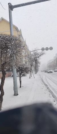 南方已經(jīng)花紅柳綠，我們北方還在大雪紛飛。人的一生也就是這樣，當(dāng)你選擇什么樣的生活就要接受什么樣的命運(yùn)配圖