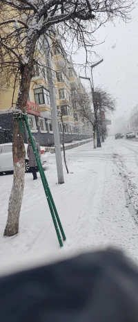 南方已經(jīng)花紅柳綠，我們北方還在大雪紛飛。人的一生也就是這樣，當(dāng)你選擇什么樣的生活就要接受什么樣的命運(yùn)配圖