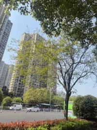 阳光正好，微风不燥，你还年轻，他/她还未老……配图