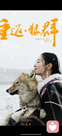 他们互相是对方的童话。配图