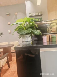 加油努力躺平