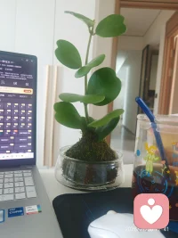 轻松一刻