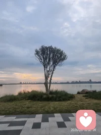 追剧听到一句话“未经他人苦，莫劝他人生。”值得深思。