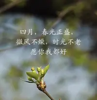 最美人间四月天，美好环环相扣，让我们好好生活，慢慢相遇。配图