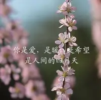 最美人间四月天，美好环环相扣，让我们好好生活，慢慢相遇。配图